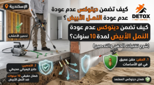 مكافحة النمل الأبيض بضمان 10 سنوات